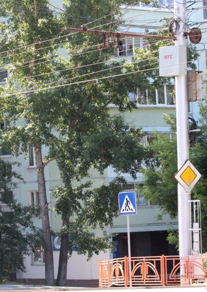 Вот здесь и было гнездо… Вот здесь и было гнездо…
