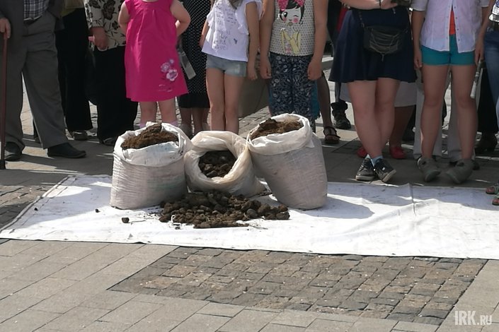 С собой на пикет жители принесли мешки с навозом. Фото ИА «Иркутск онлайн»