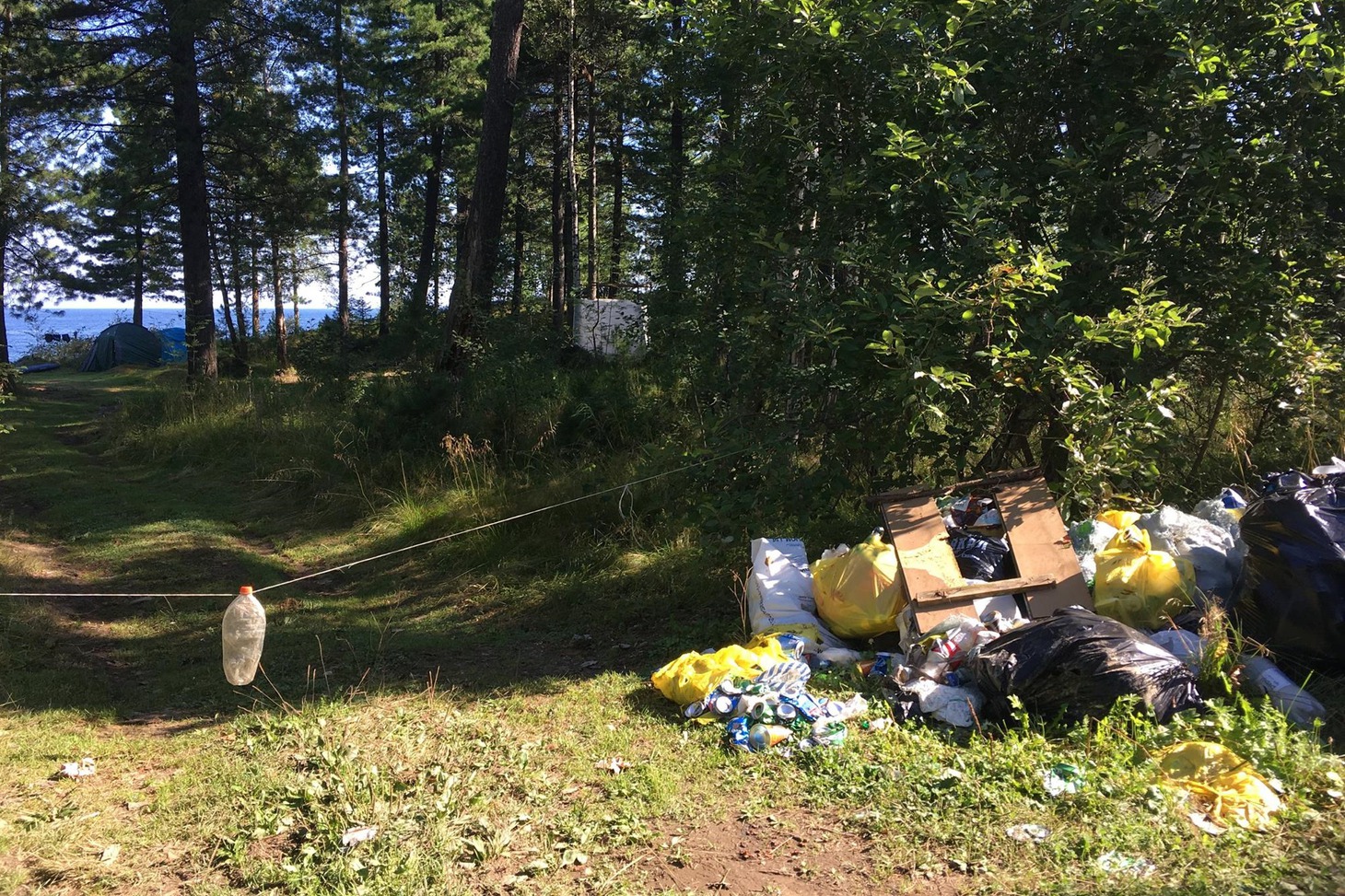 Фото со страницы Максима Хвостикова в Facebook