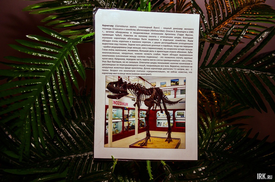 Посетить выставку можно ежедневно с 10:00 до 20:00, кроме понедельника.