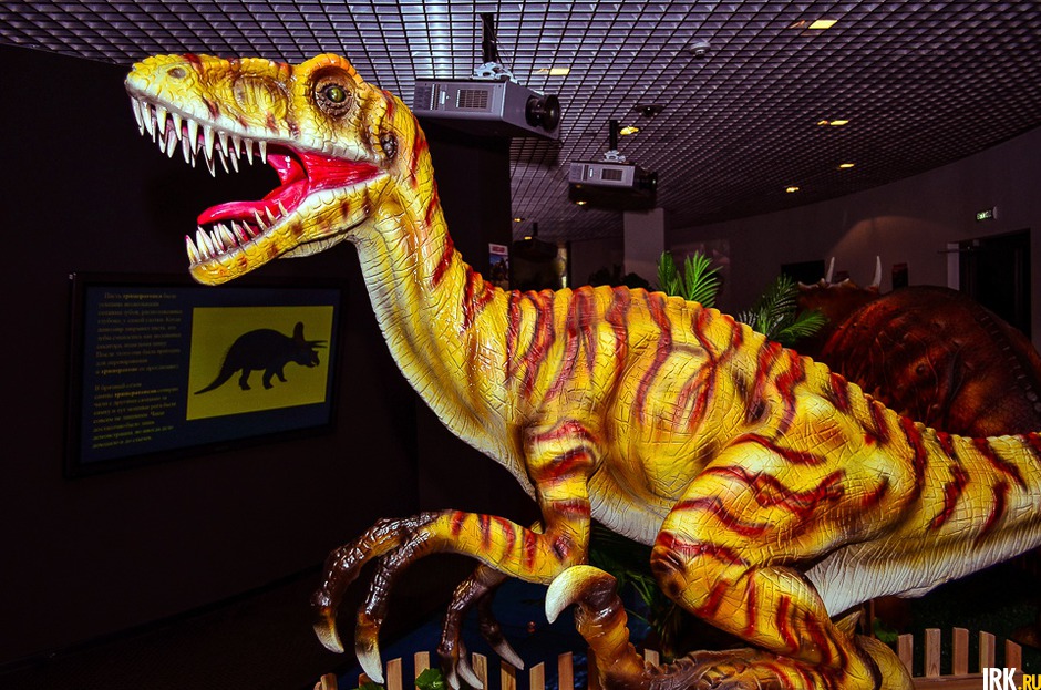 Выставка динозавров колизей. Динопарк Иркутск. Выставка динозавров. Выставка динозавров Иркутск.