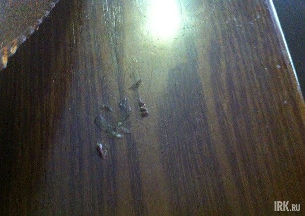 Пока ждала, заметила этот безобразный приставший жир. На мой взгляд, заведения с такими столами вообще не имеют права называться ресторанами.