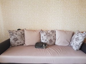 Сплин на диване