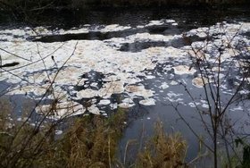 Фото предоставлено «Гражданский патрулем»