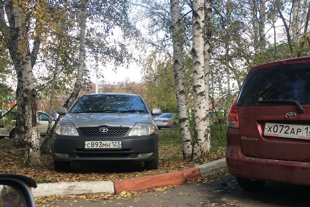 Фото прислано читателем