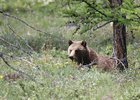 В экспедиции. Фото «Заповедного Прибайкалья»