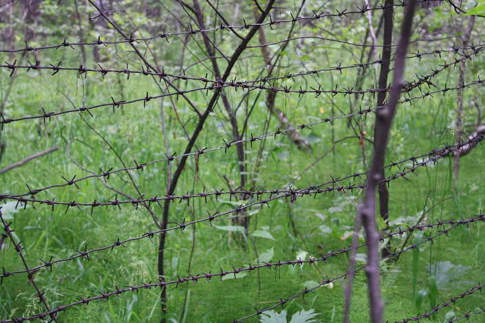 Фото из личного архива Никиты Томина