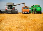 Фото с сайта premier-agro.ru