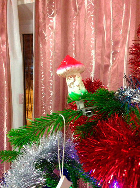 Это украшение сфотографировала Марина Воробьева