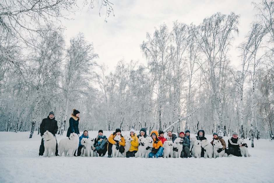 «Наверное, наша „самоедская банда“ самая дружная среди породников», — считает Марина Петровна.