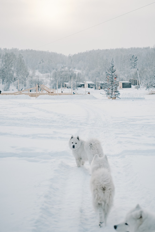 Хозяйка Брайса рассказала об отношении пса к ее дочери: «Первые месяцы он был равнодушен, как будто она всю жизнь с нами. Но три недели назад собаку стало не узнать. Если дочка плачет, он несет свои игрушки, подкидывает мячик, а она смотрит и замолкает».