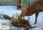 Фото пресс-службы правительства Иркутской области