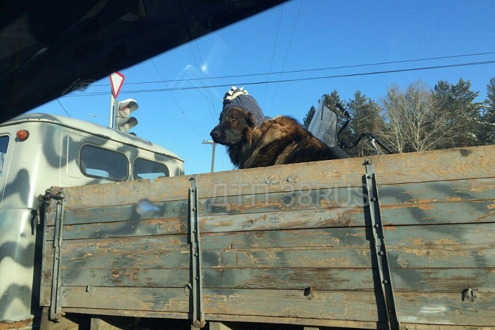 Фото из группы «ДТП 38RUS»