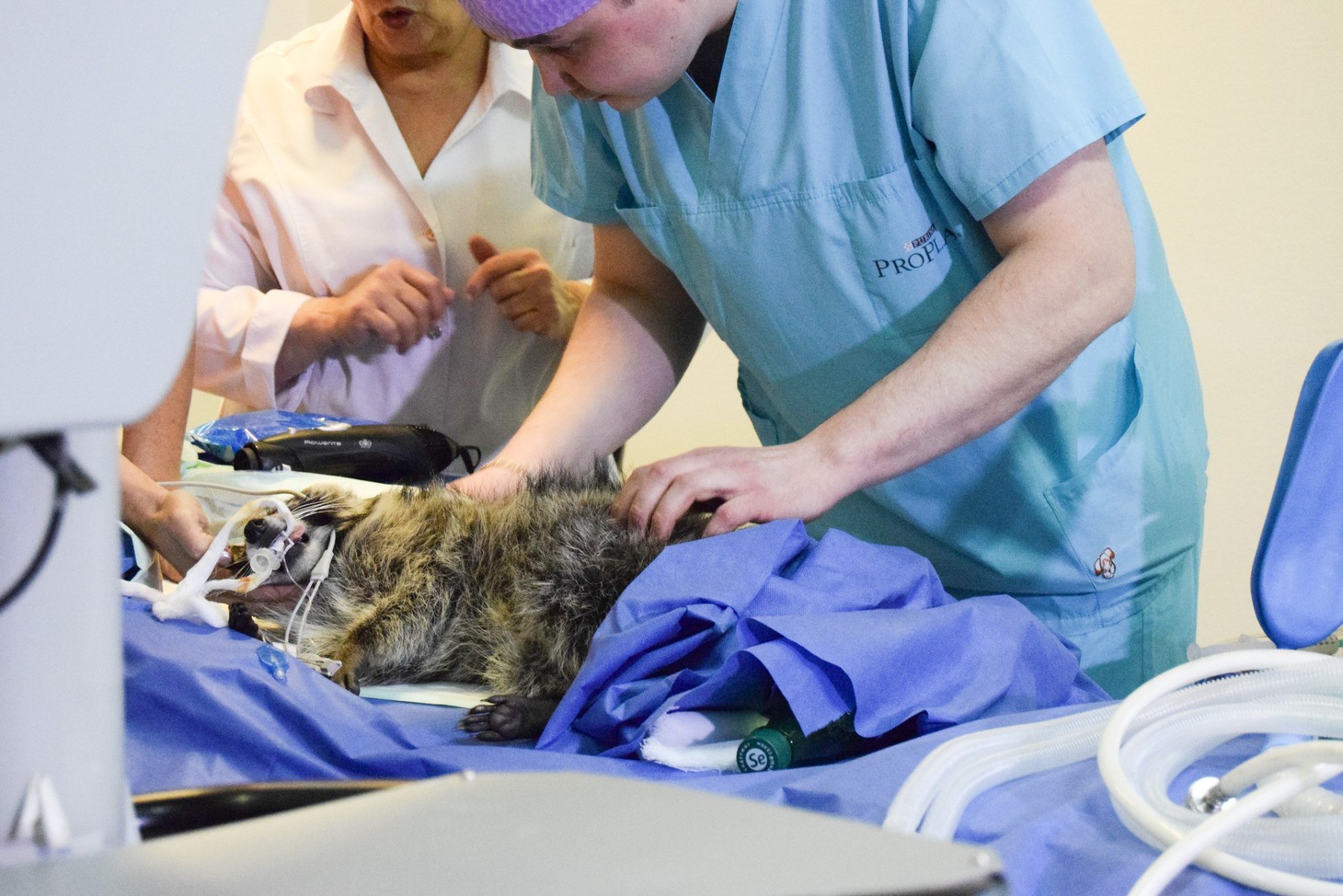 Фото Екатерины Тимофеевой