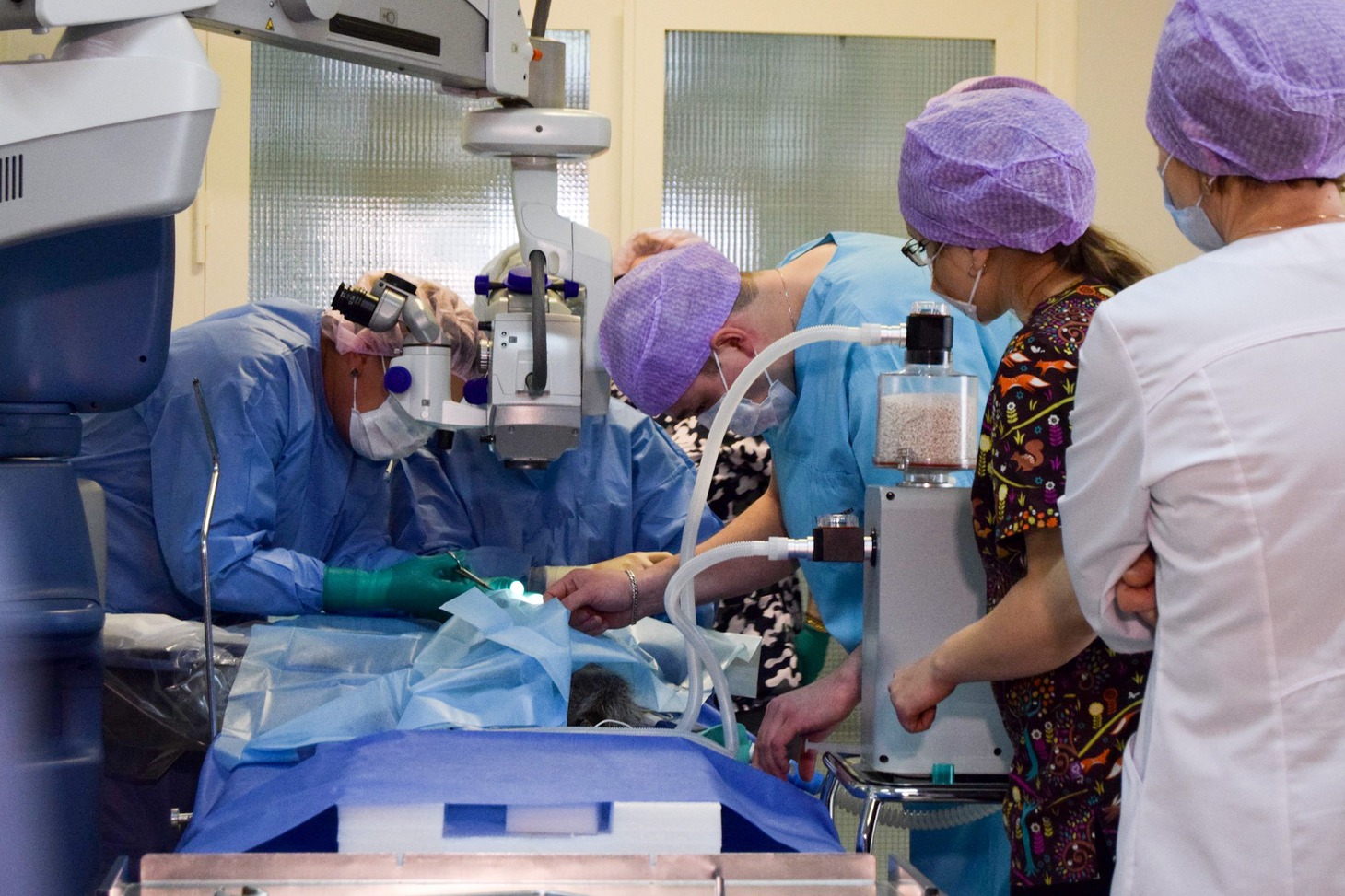 Фото Екатерины Тимофеевой