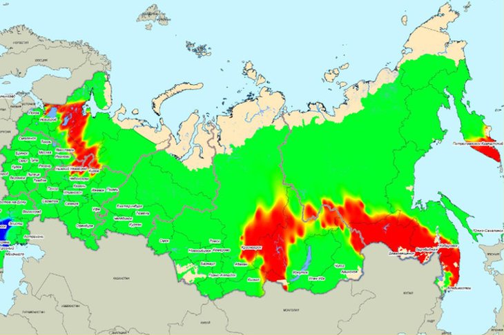 Прогноз на сентябрь 2018 года. Изображение ФБУ «Авиалесоохрана»