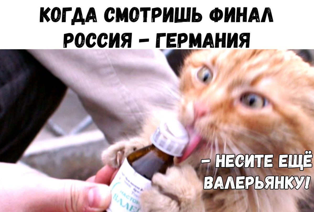 Фото из Twitter cайта «Чемпионат»