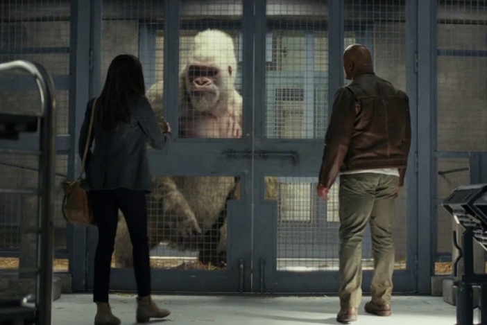 Фото с сайта thr.ru