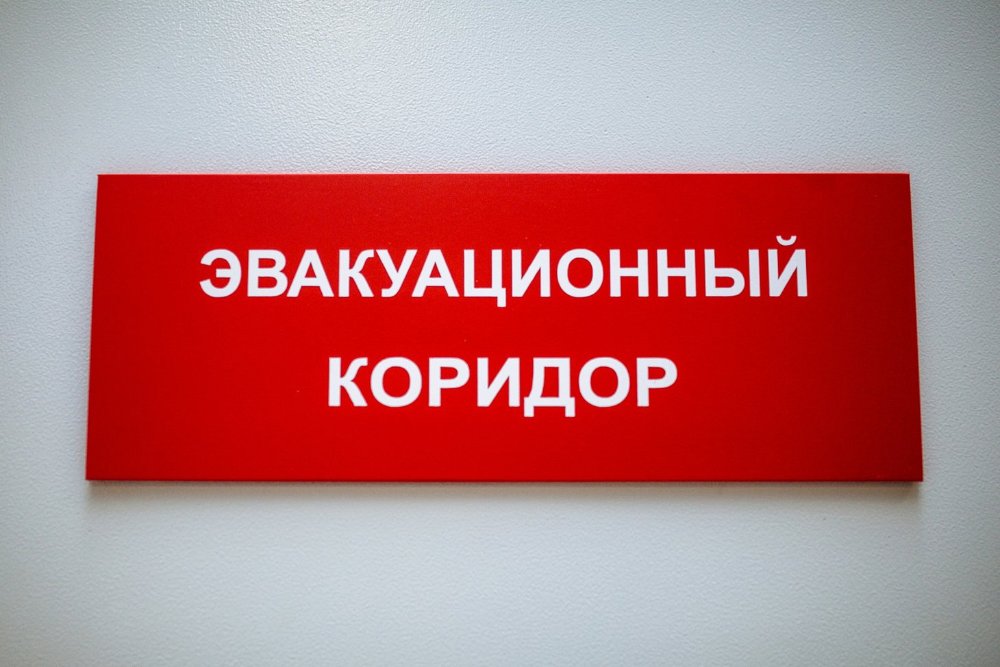 Проверка «Комсомолла». Автор фото - Зарина Весна