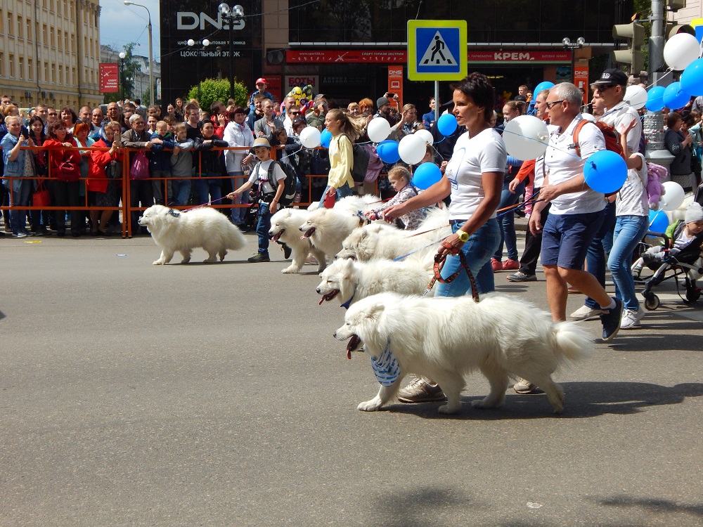 Фото Анастасии Соловьевой