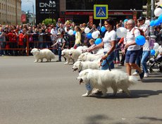 Фото Анастасии Соловьевой