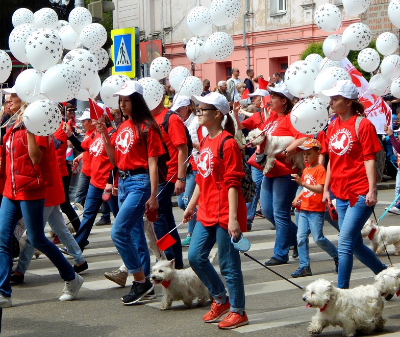 Фото Анастасии Соловьевой