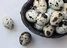 Перепелиные яйца. Фото pixabay.com