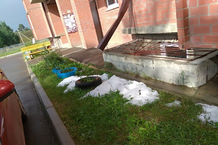 Фото Елены Соколовой