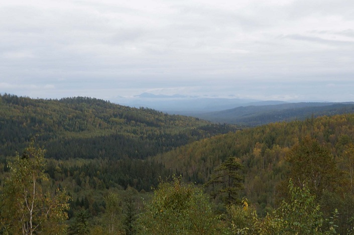 Шелеховский Район Фото