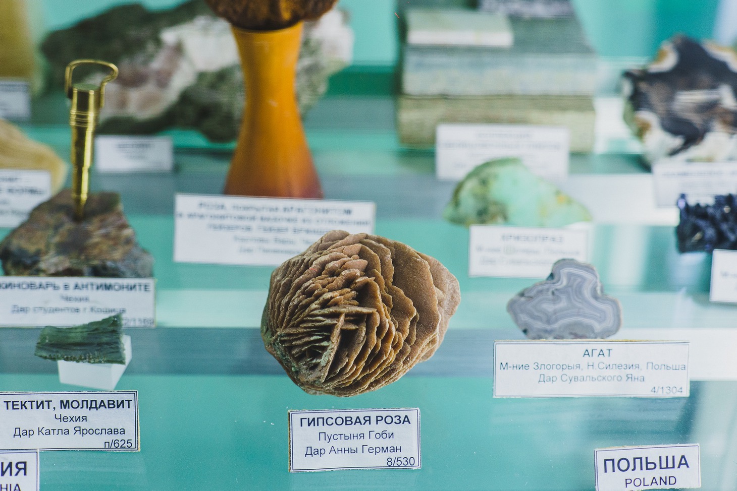 Гипсовая роза