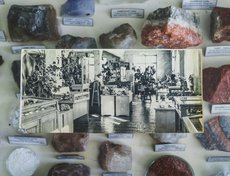 На архивной фотографии видно, как много растений было прежде в зале музея.