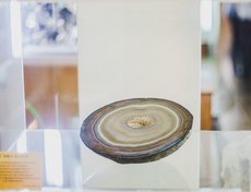 Спил агата — подарок известного российского политика Сергея Миронова.