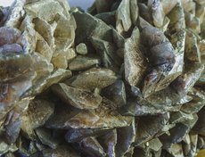 Некоторые из них похожи на цветы.