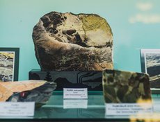 Яшма один из самых известных уральских самоцветов.