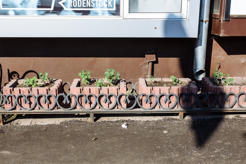 Строители поленились отодвинуть и вазоны с цветами