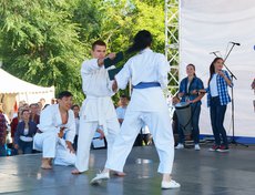 Показательное выступление секции каратэ, работающей при ИГУ.