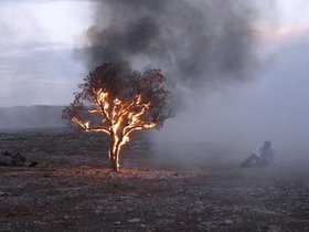 Эхо фестиваля «Человек и Природа». Красный сад