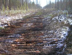 Первые дороги – «лежнёвки».