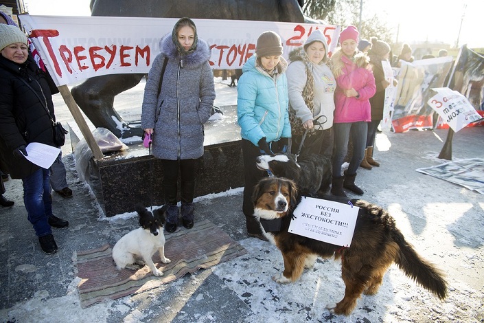 Пикет против жестокого обращения с животными. Фото — IRK.ru