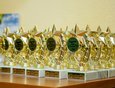 Награды получили более 60 талантливых детей из Иркутского района, в том числе 8 стипендиатов мэра