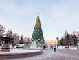 Главную елку Иркутска уже установили в сквере Кирова.