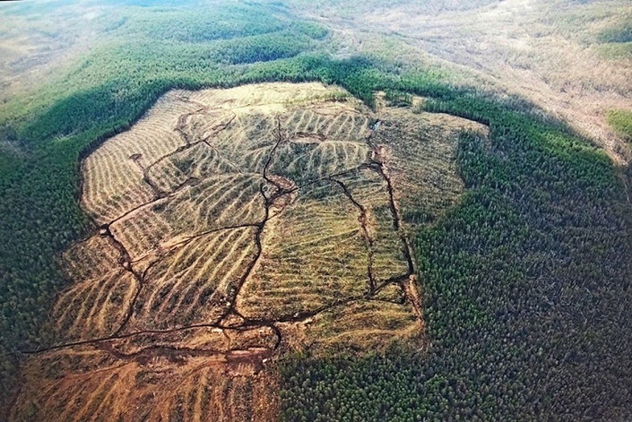 Туколонь. Фото предоставлено пресс-службой Байкальской межрегиональной природоохранной прокуратуры Туколонь. Фото предоставлено пресс-службой Байкальской межрегиональной природоохранной прокуратуры