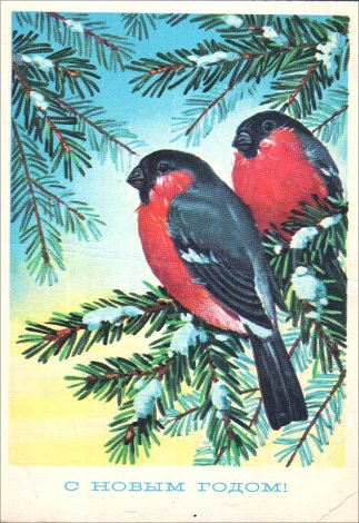 1988 год. Фото из архива IRK.ru