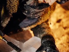 Алена, архитектор. Участвует в строительстве иордани с 2013 года.