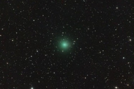 Комета C/2018 Y1 (Ивамото). Фото: Jose J.Chambo Bris, www.cometografia.es