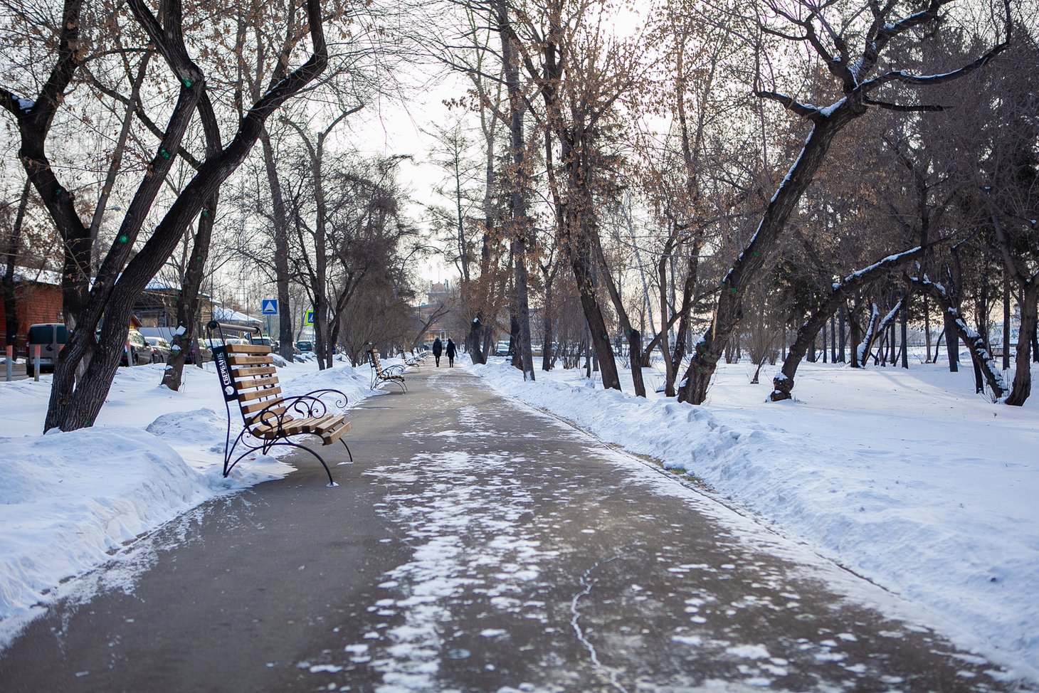 Аллея на бульваре Гагарина
