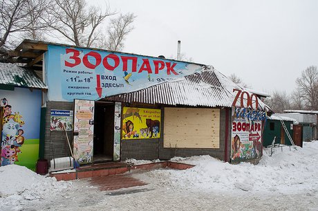Фото IRK.ru