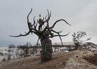 Скульптура «Хранитель Байкала». Фото Натальи Бурмейстер
