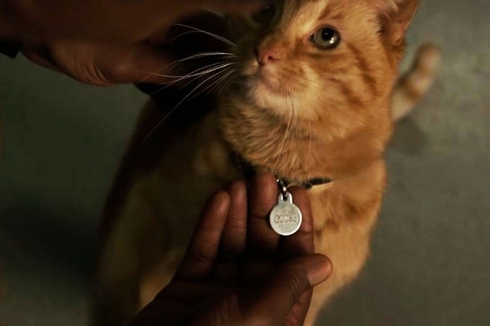 Кадр из фильма «Капитан Марвел», www.kinopoisk.ru