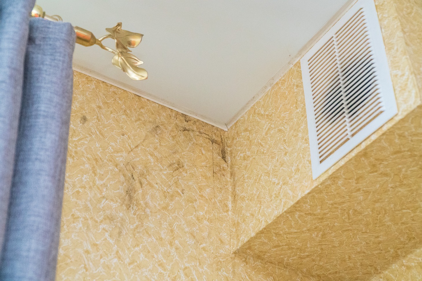 Плесень на стенах